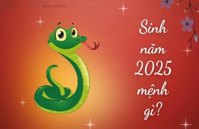 Sinh năm 2025 mệnh gì? Khám phá tử vi Ất Tỵ