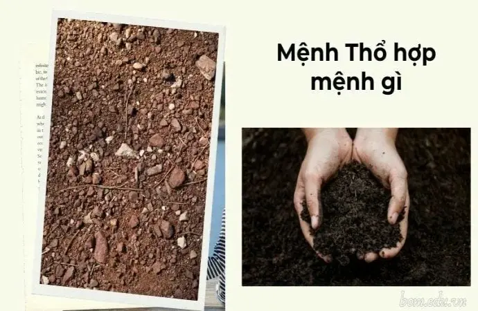 Mệnh Thổ hợp mệnh gì và khắc mệnh gì trong phong thủy?