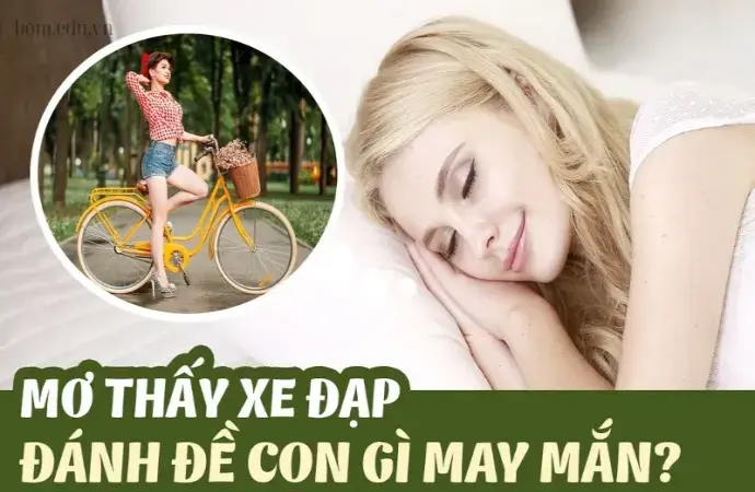 Nằm mơ đi xe đạp là điềm báo gì? Nên chọn con số may mắn nào?