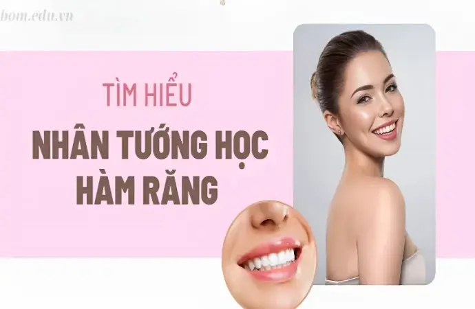 Nhân tướng học răng - Ý nghĩa và vận mệnh qua từng kiểu răng