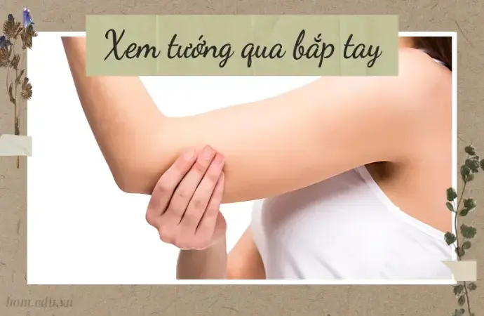 Khám phá cách xem tướng qua bắp tay dự đoán tính cách bạn