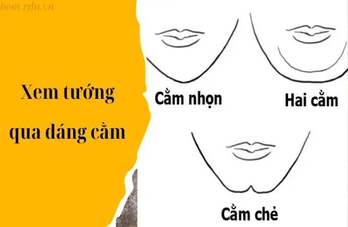 Xem tướng qua dáng cằm - Giải mã tính cách và vận mệnh