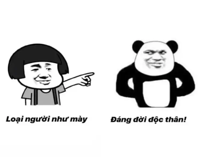 Meme gấu trúc dễ thương gây sốt cộng đồng mạng