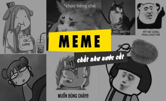 Hài meme cực vui khiến bạn không thể nhịn cười