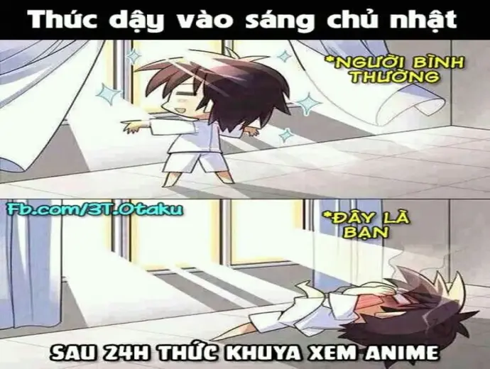 Tải ảnh meme anime manga độc đáo dành cho cộng đồng fan