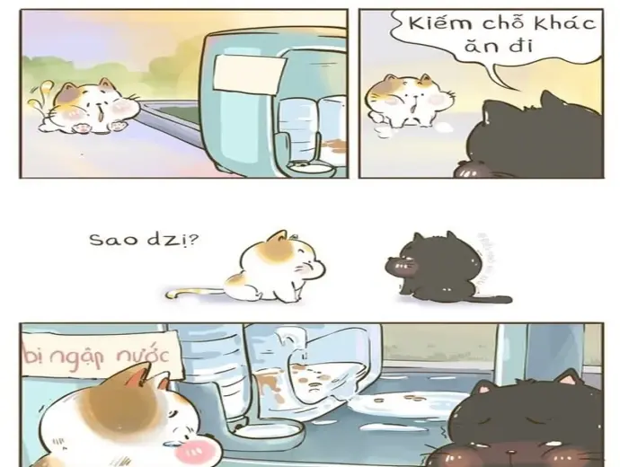 Những ảnh meme về thú cưng vui nhộn được yêu thích nhất