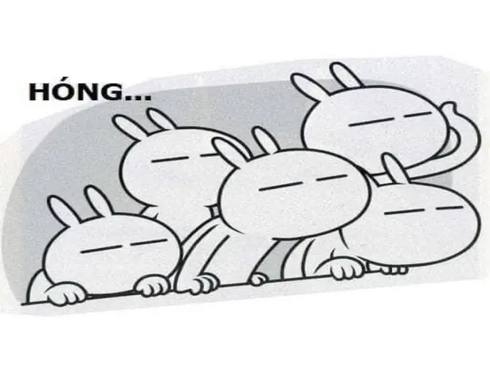 Ảnh meme về văn hóa internet chế theo xu hướng mới nhất