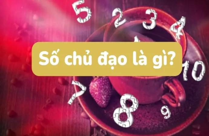 Số chủ đạo là gì trong thần số học? Giải mã chi tiết nhất