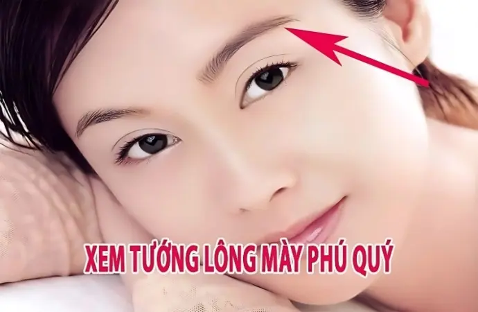 Tướng mày phú quý nói lên điều gì về vận mệnh con người