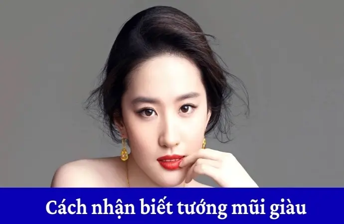 Cách nhận biết tướng mũi giàu giúp dự đoán tài vận chuẩn xác