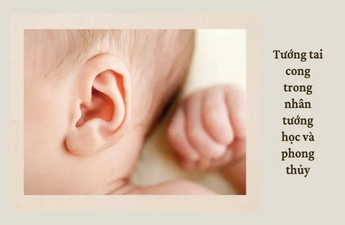 Tướng tai cong nói lên điều gì về tính cách và vận mệnh