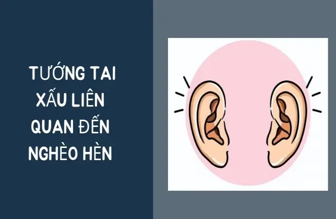 Khám phá ý nghĩa tướng tai nghèo hèn trong nhân tướng học