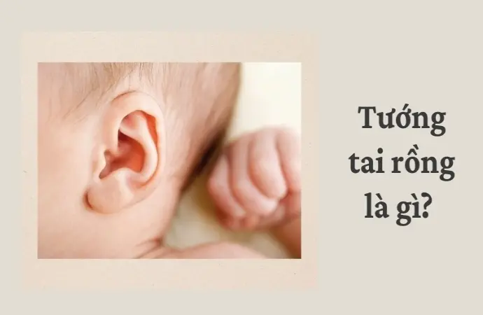 Ý nghĩa tướng tai rồng trong nhân tướng học và phong thủy