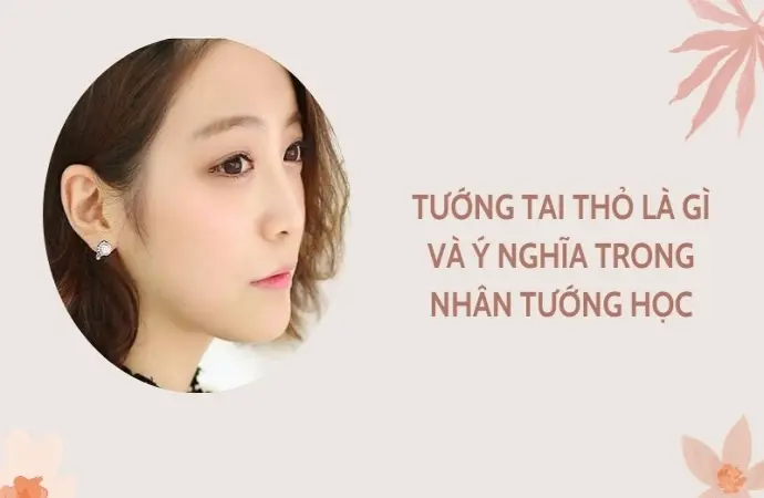 Ý nghĩa tướng tai thỏ trong phong thủy giúp thu hút may mắn