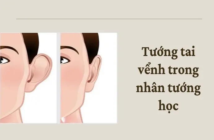 Tướng tai vểnh trong nhân tướng học có phải dấu hiệu phúc lộc