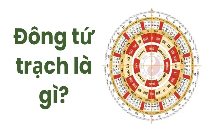 Đông tứ trạch là gì? Hướng dẫn chọn nhà hợp tuổi chính xác