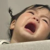 307+ Meme Khóc Hài Hước và Ảnh Chế Biểu Cảm Viral Nhất 2026