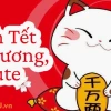 Avatar Tết Ngầu 2026: Hướng dẫn chọn ảnh đại diện ấn tượng đón Xuân