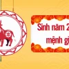 Bé gái sinh năm 2021 thuộc mệnh gì và ý nghĩa phong thủy