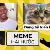 Khám phá 750+ Avatar Meme Mèo Bựa: Biểu Cảm Hài Hước Độc Lạ
