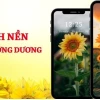 Khám phá 99+ mẫu avatar hoa hướng dương đẹp và ý nghĩa 2026