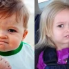 Khám phá thế giới meme: Các meme nổi tiếng và sức hút khó cưỡng
