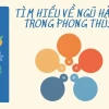 Phong Thủy Ngũ Hành: Hiểu Rõ Vận Mệnh và Ứng Dụng Thực Tế