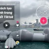 Tạo Avatar Trong Suốt Cho Tên TikTok Độc Đáo Năm 2026