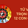 Tử Vi Tướng Số Trọn Đời: Khám Phá Vận Mệnh Năm 2026