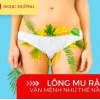 Xem tướng phụ nữ nhiều lông: Giải mã vận mệnh và tính cách