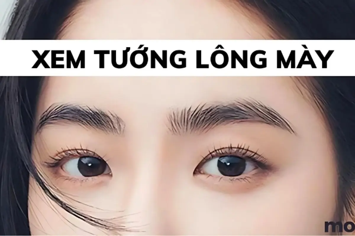 Tướng lông mày tốt giúp cải thiện sự nghiệp và tài lộc
