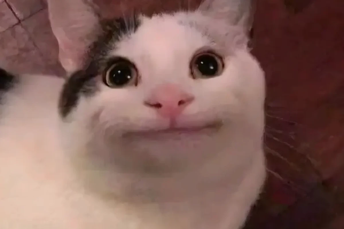 Avatar Ảnh Đại Diện Meme Hài Hước: Biểu Tượng Nổi Loạn Kỹ Thuật Số