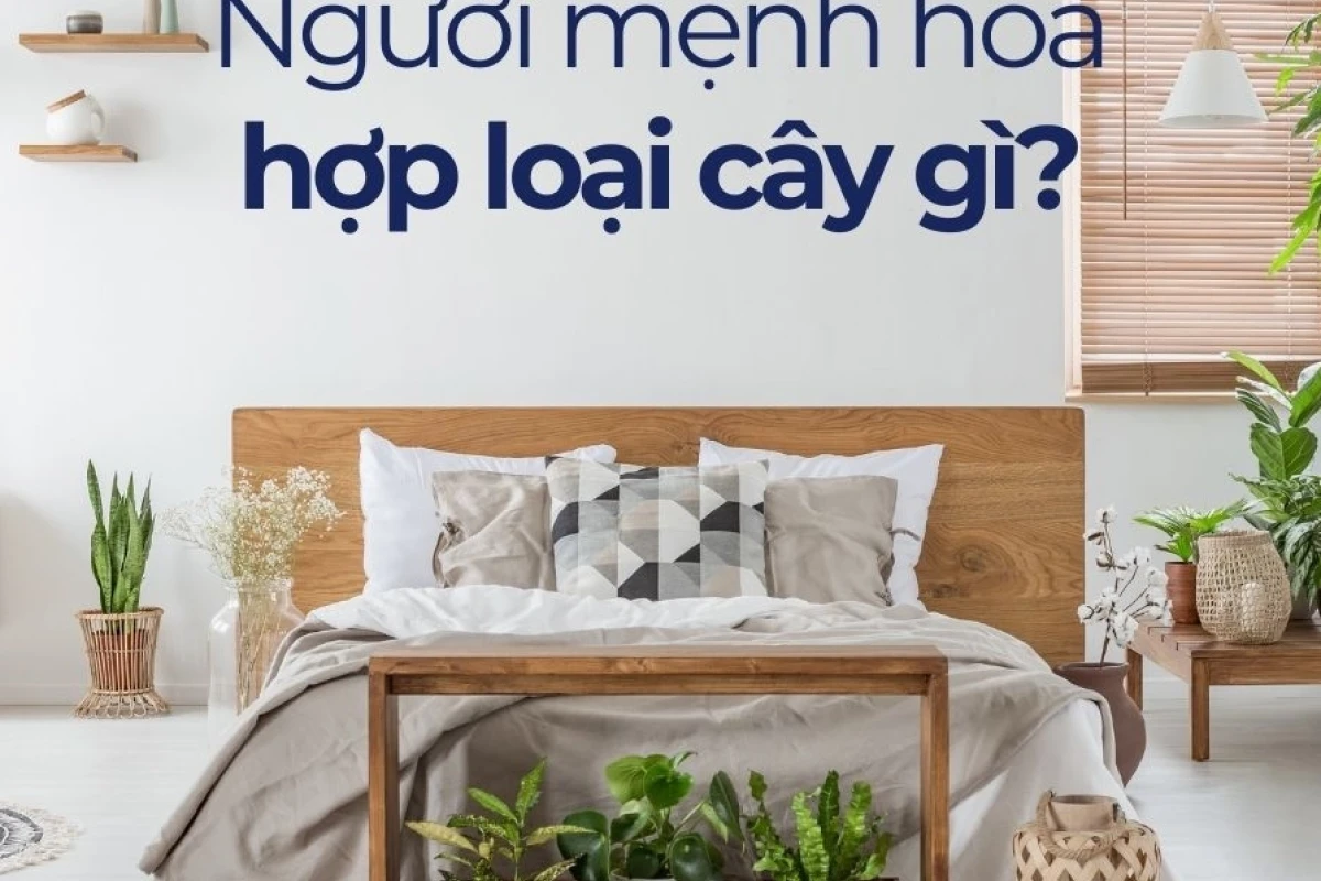 Cây phong thủy hợp mệnh Hỏa: Bí quyết chiêu tài lộc và may mắn