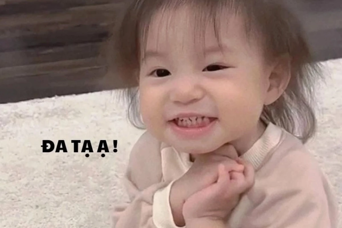 Khám Phá Bộ Sưu Tập Meme Đa Tạ Hài Hước Nhất Internet