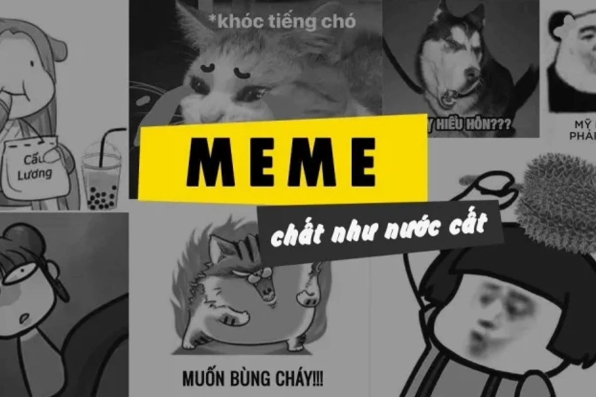 Kho ảnh meme vui vẻ hài hước nhất 2026: Cười thả ga không ngừng nghỉ