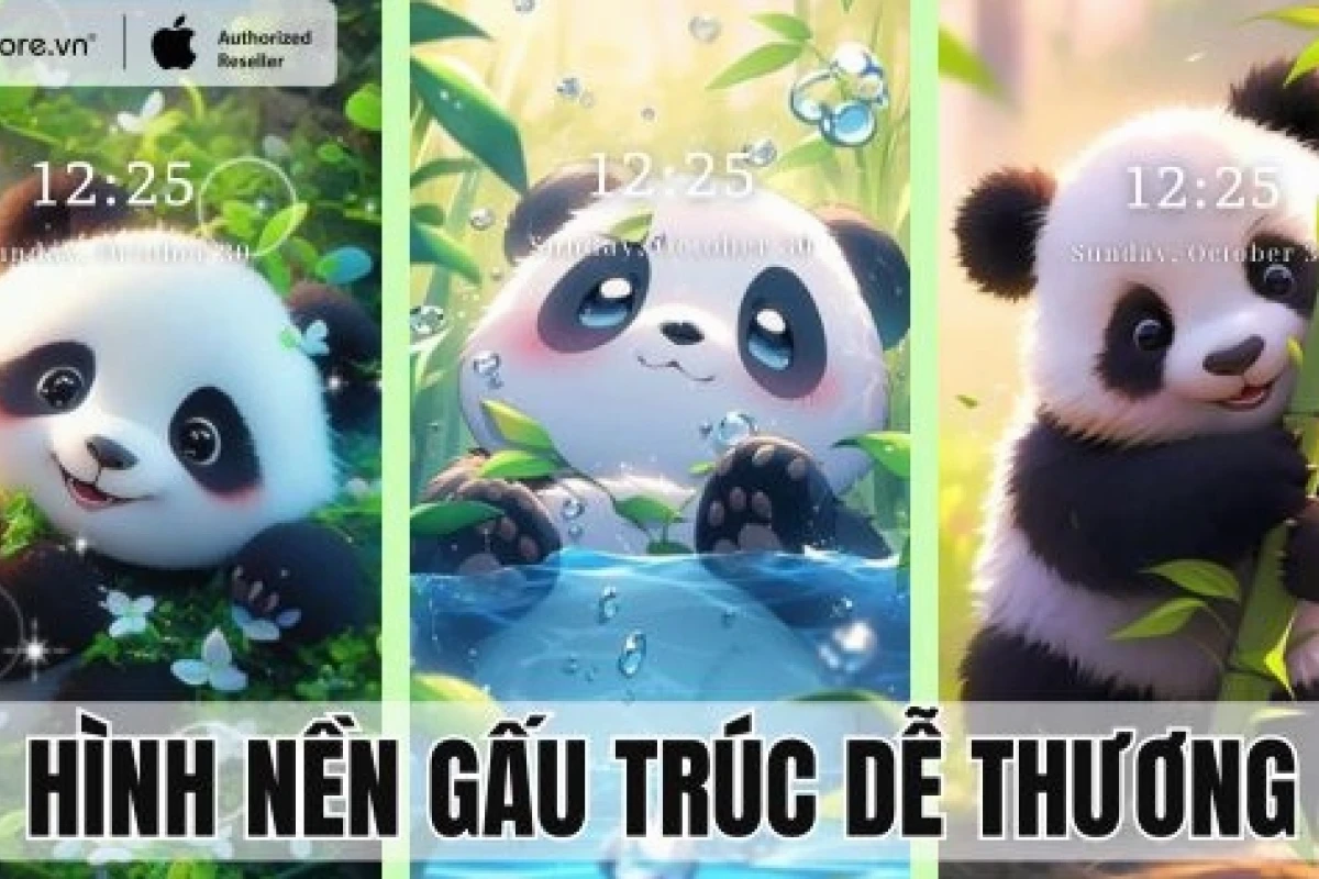 Tổng hợp ảnh nền avatar gấu cute độc đáo cho năm 2026