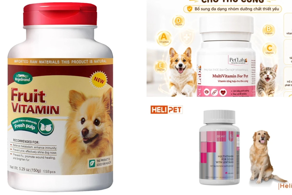 Bí quyết chọn tổng hợp vitamin cho chó hiệu quả nhất năm 2026