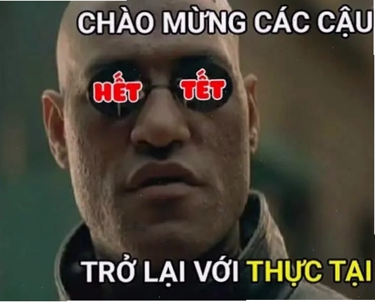 Ảnh avatar tết meme độc đáo