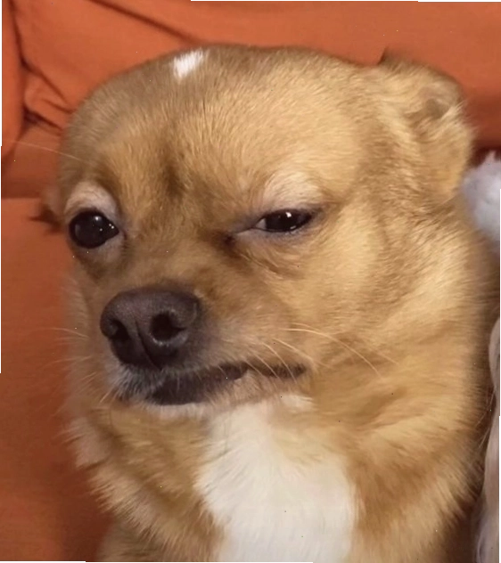 Ảnh chế meme hài hước thể hiện sự bất ngờ