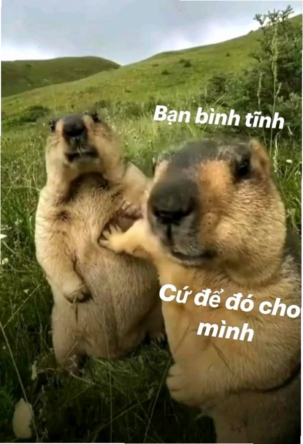 Ảnh chế tình huống cần sự bình tĩnh