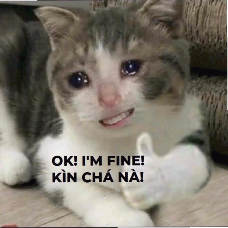 Ảnh cười meme phổ biến
