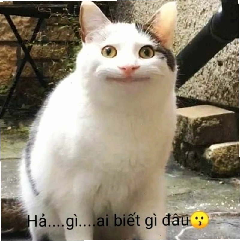 Ảnh meme Ai Biết Gì Đâu phổ biến tại Việt Nam