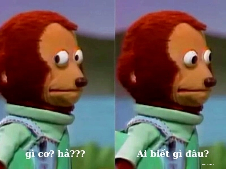 Ảnh meme Ai Biết Gì Đâu vui nhộn