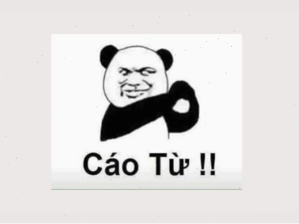 Ảnh meme gấu trúc biểu cảm hài hước