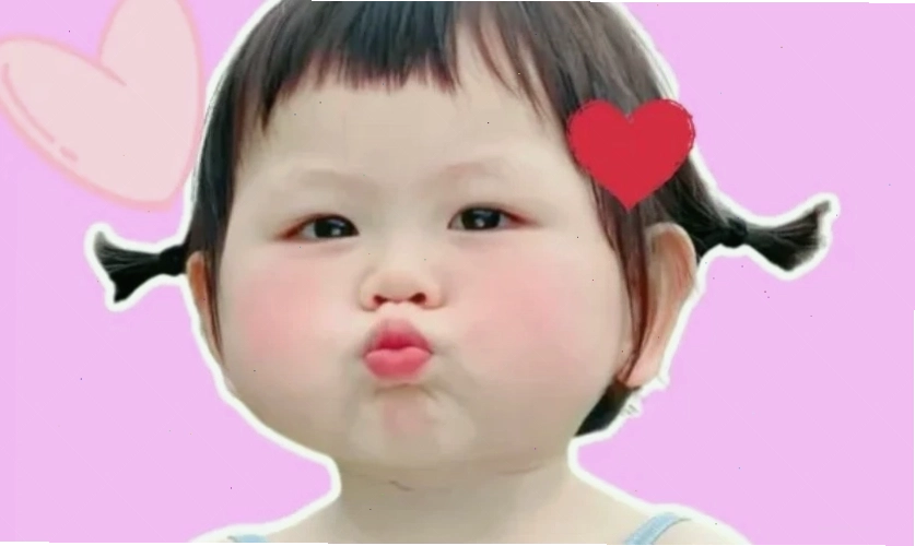 Ảnh meme mèo cute đáng yêu