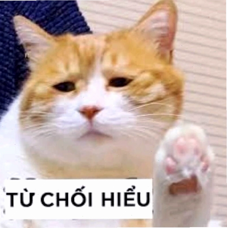 Ảnh vui Ai Biết Gì Đâu