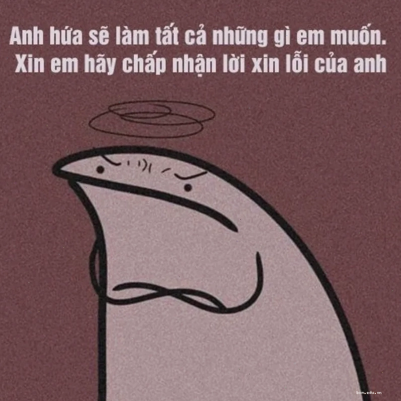 Anh xin lỗi meme cho nửa kia
