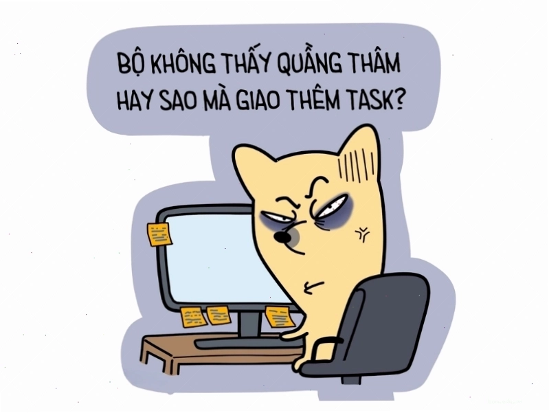 Avatar meme hài hước với hình nền độc đáo