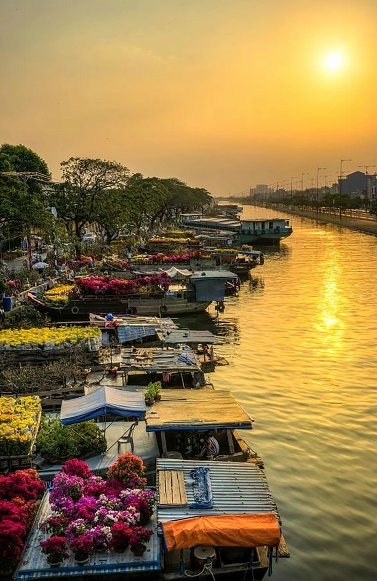Bầu trời lúc bình minh với những tia nắng đầu tiên