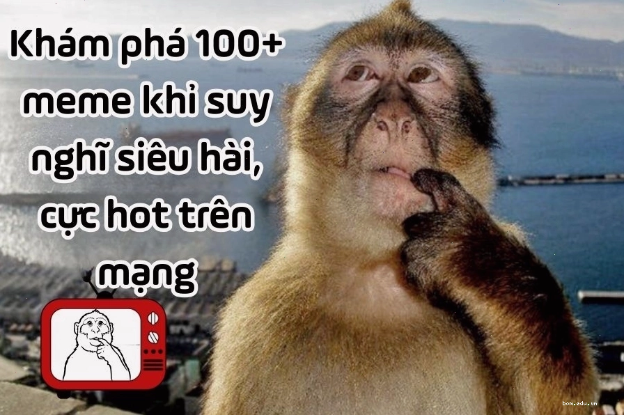 Biểu cảm trầm tư của meme con khỉ suy nghĩ